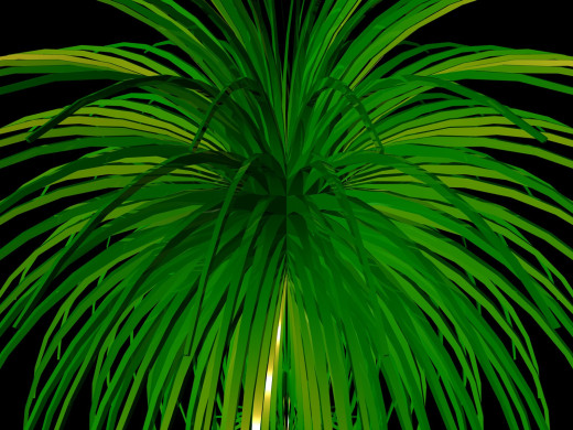 520606 (a): :1600x1200